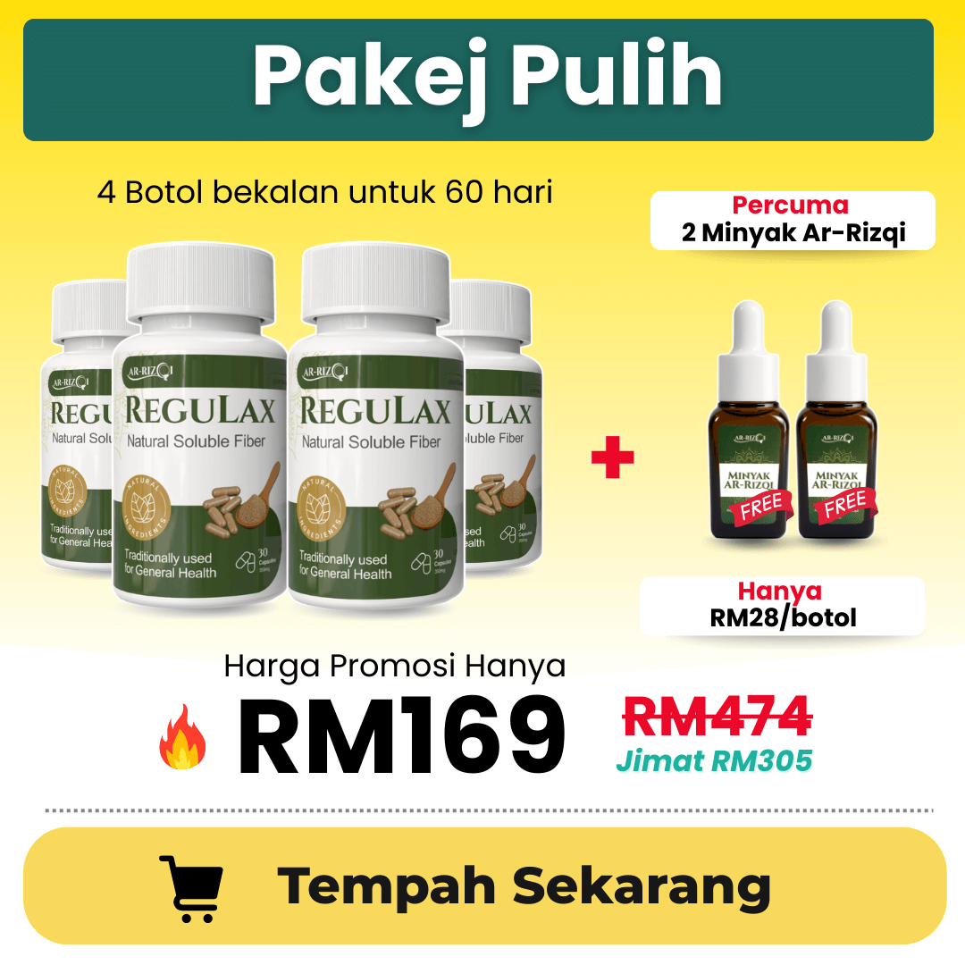 Pakej Pulih